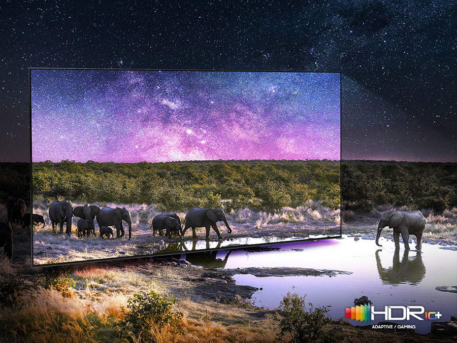 Słonie na ekranie telewizora Neo QLED 4K ukazujące wysoką jakość obrazu w każdej scenie - Neo Quantum HDR+