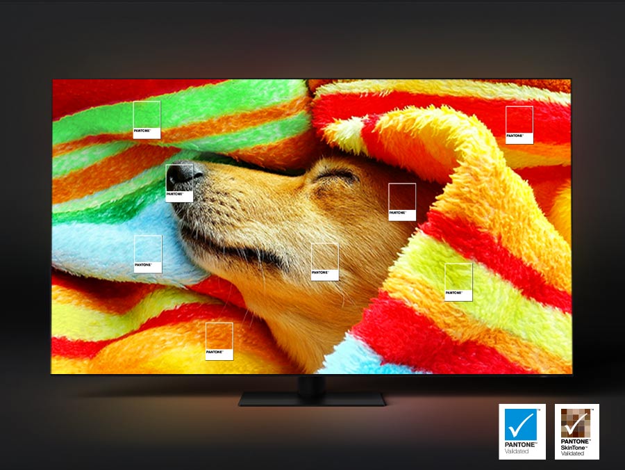 Pies przykryty kolorowym kocem przedstawiający autentyczne kolory zweryfikowane przez Pantone w telewizorach Neo QLED 4k
