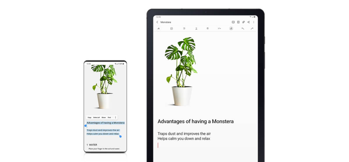 Copy the contents to the plant site on the phone and paste them into samsung note on Galaxy Tab S6 Lite.